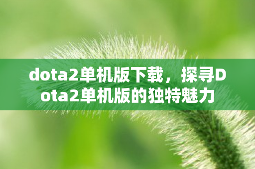 dota2单机版下载,探寻Dota2单机版的独特魅力 dota2单机版下载,探寻Dota2单机版的独特魅力