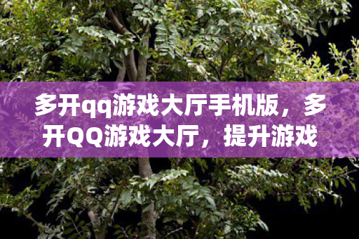 多开qq游戏大厅手机版,多开QQ游戏大厅,提升游戏效率与体验的创新方式 多开qq游戏大厅手机版,多开QQ游戏大厅,提升游戏效率与体验的创新方式