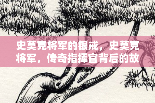 史莫克将军的银戒，史莫克将军，传奇指挥官背后的故事