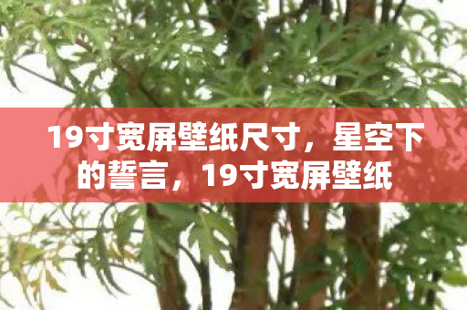 19寸宽屏壁纸尺寸,星空下的誓言,19寸宽屏壁纸 19寸宽屏壁纸尺寸,星空下的誓言,19寸宽屏壁纸