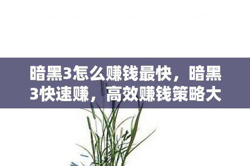 暗黑3怎么赚钱最快，暗黑3快速赚，高效赚钱策略大揭秘