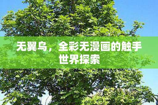 无翼乌,全彩无漫画的触手世界探索 无翼乌,全彩无漫画的触手世界探索