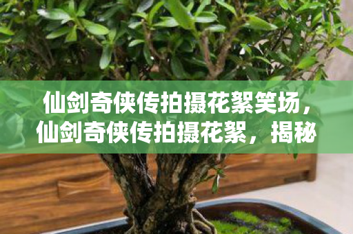 仙剑奇侠传拍摄花絮笑场,仙剑奇侠传拍摄花絮,揭秘经典背后的故事 仙剑奇侠传拍摄花絮笑场,仙剑奇侠传拍摄花絮,揭秘经典背后的故事