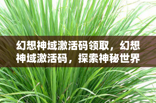 幻想神域激活码领取,幻想神域激活码,探索神秘世界的钥匙 幻想神域激活码领取,幻想神域激活码,探索神秘世界的钥匙