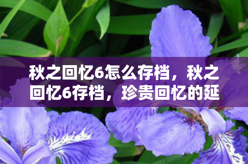 秋之回忆6怎么存档,秋之回忆6存档,珍贵回忆的延续 秋之回忆6怎么存档,秋之回忆6存档,珍贵回忆的延续