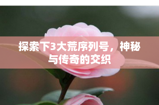探索下3大荒序列号,神秘与传奇的交织 探索下3大荒序列号,神秘与传奇的交织