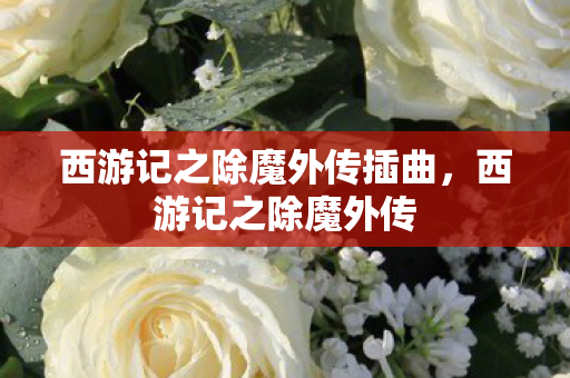 西游记之除魔外传插曲，西游记之除魔外传