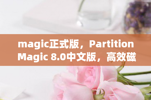 magic正式版，Partition Magic 8.0中文版，高效磁盘管理的得力助手