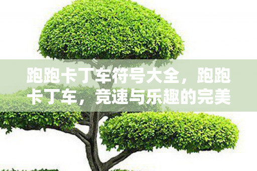 跑跑卡丁车符号大全，跑跑卡丁车，竞速与乐趣的完美结合