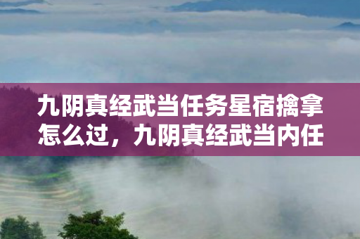 九阴真经武当任务星宿擒拿怎么过，九阴真经武当内任务，探寻古老武学的奥秘