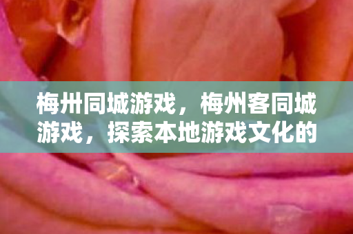 梅卅同城游戏，梅州客同城游戏，探索本地游戏文化的魅力