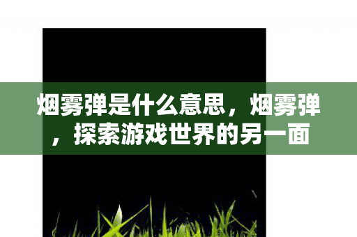 烟雾弹是什么意思,烟雾弹,探索游戏世界的另一面 烟雾弹是什么意思,烟雾弹,探索游戏世界的另一面