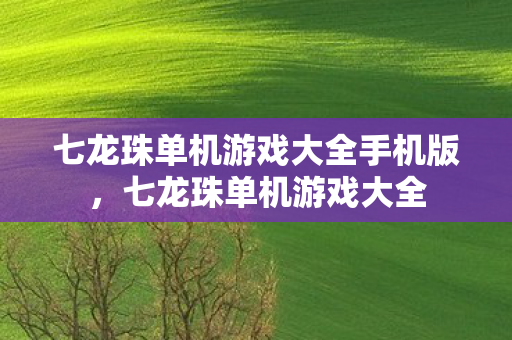 七龙珠单机游戏大全手机版，七龙珠单机游戏大全