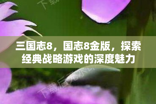 三国志8，国志8金版，探索经典战略游戏的深度魅力
