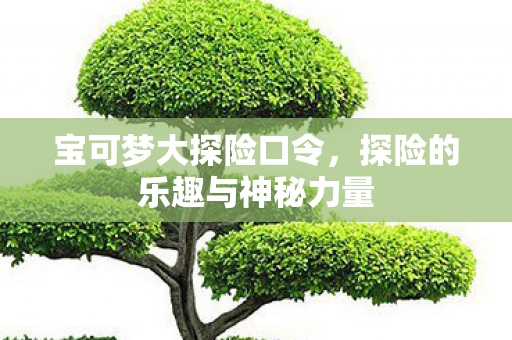 宝可梦大探险口令,探险的乐趣与神秘力量 宝可梦大探险口令,探险的乐趣与神秘力量