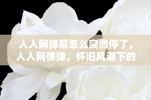 人人网弹幕怎么突然停了,人人网弹弹,怀旧风潮下的经典游戏复兴 人人网弹幕怎么突然停了,人人网弹弹,怀旧风潮下的经典游戏复兴
