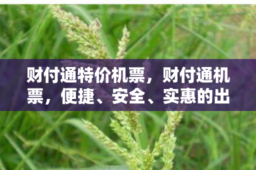 财付通特价机票，财付通机票，便捷、安全、实惠的出行新选择