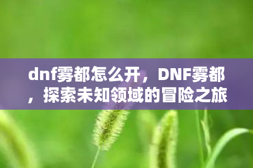 dnf雾都怎么开,DNF雾都,探索未知领域的冒险之旅 dnf雾都怎么开,DNF雾都,探索未知领域的冒险之旅
