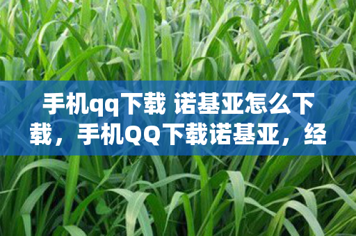 手机qq下载 诺基亚怎么下载,手机QQ下载诺基亚,经典再现,回忆与创新的碰撞 手机qq下载 诺基亚怎么下载,手机QQ下载诺基亚,经典再现,回忆与创新的碰撞