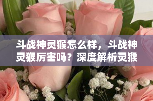 斗战神灵猴怎么样,斗战神灵猴厉害吗?深度解析灵猴角色强度与玩法 斗战神灵猴怎么样,斗战神灵猴厉害吗?深度解析灵猴角色强度与玩法