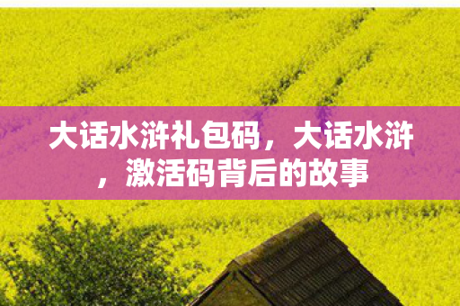 大话水浒礼包码,大话水浒,激活码背后的故事 大话水浒礼包码,大话水浒,激活码背后的故事
