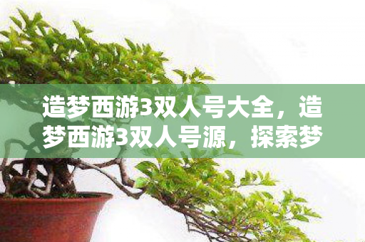 造梦西游3双人号大全,造梦西游3双人号源,探索梦幻世界的双重冒险 造梦西游3双人号大全,造梦西游3双人号源,探索梦幻世界的双重冒险