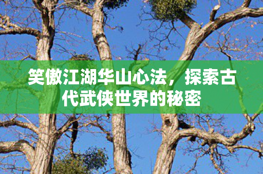 笑傲江湖华山心法,探索古代武侠世界的秘密 笑傲江湖华山心法,探索古代武侠世界的秘密