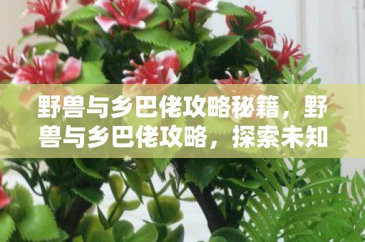 野兽与乡巴佬攻略秘籍,野兽与乡巴佬攻略,探索未知,挑战自我 野兽与乡巴佬攻略秘籍,野兽与乡巴佬攻略,探索未知,挑战自我