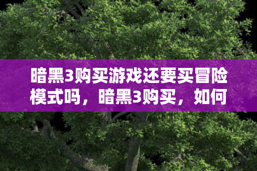 暗黑3购买游戏还要买冒险模式吗，暗黑3购买，如何安全、合法地获取游戏