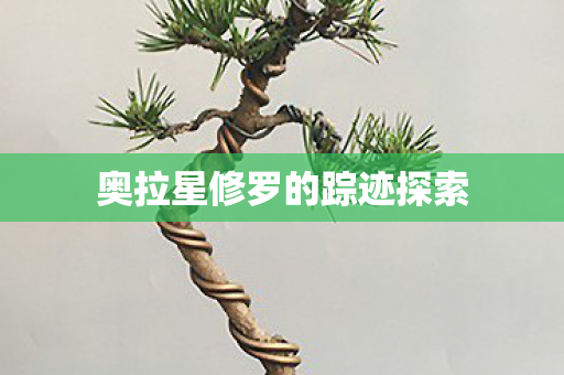 奥拉星修罗的踪迹探索 奥拉星修罗的踪迹探索