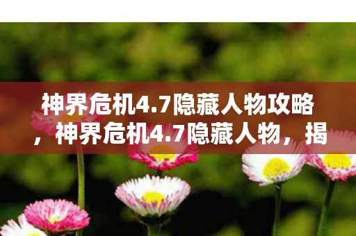 神界危机4.7隐藏人物攻略,神界危机4.7隐藏人物,揭秘未知的英雄传说 神界危机4.7隐藏人物攻略,神界危机4.7隐藏人物,揭秘未知的英雄传说