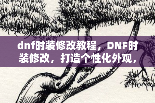 dnf时装修改教程,DNF时装修改,打造个性化外观,提升游戏乐趣 dnf时装修改教程,DNF时装修改,打造个性化外观,提升游戏乐趣