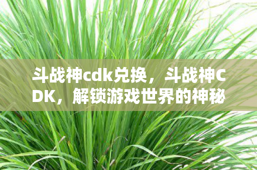 斗战神cdk兑换,斗战神CDK,解锁游戏世界的神秘钥匙 斗战神cdk兑换,斗战神CDK,解锁游戏世界的神秘钥匙