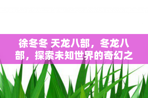 徐冬冬 天龙八部，冬龙八部，探索未知世界的奇幻之旅