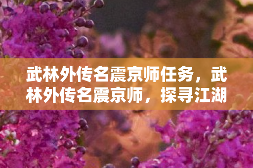 武林外传名震京师任务,武林外传名震京师,探寻江湖背后的传奇故事 武林外传名震京师任务,武林外传名震京师,探寻江湖背后的传奇故事