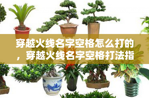 穿越火线名字空格怎么打的,穿越火线名字空格打法指南 穿越火线名字空格怎么打的,穿越火线名字空格打法指南