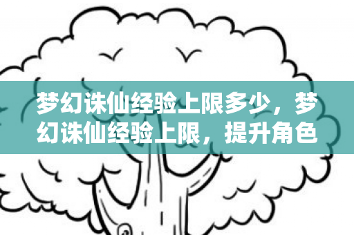 梦幻诛仙经验上限多少,梦幻诛仙经验上限,提升角色实力的关键策略 梦幻诛仙经验上限多少,梦幻诛仙经验上限,提升角色实力的关键策略