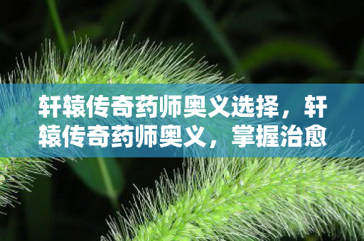 轩辕传奇药师奥义选择，轩辕传奇药师奥义，掌握治愈之道，成就传奇之路
