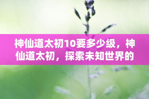 神仙道太初10要多少级,神仙道太初,探索未知世界的奇幻之旅 神仙道太初10要多少级,神仙道太初,探索未知世界的奇幻之旅