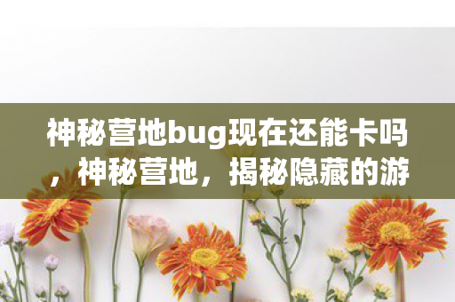 神秘营地bug现在还能卡吗,神秘营地,揭秘隐藏的游戏漏洞 神秘营地bug现在还能卡吗,神秘营地,揭秘隐藏的游戏漏洞