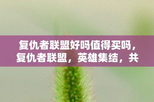 复仇者联盟好吗值得买吗,复仇者联盟,英雄集结,共赴正义之旅 复仇者联盟好吗值得买吗,复仇者联盟,英雄集结,共赴正义之旅