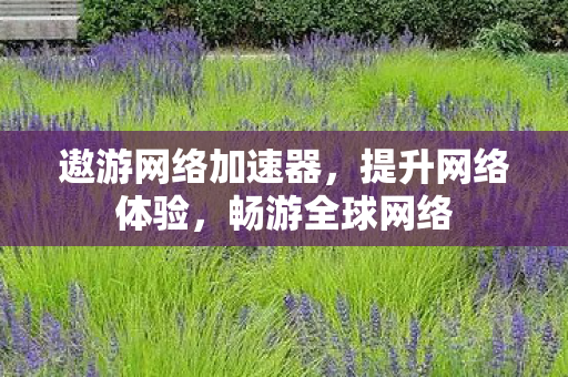 遨游网络加速器,提升网络体验,畅游全球网络 遨游网络加速器,提升网络体验,畅游全球网络