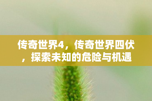 传奇世界4,传奇世界四伏,探索未知的危险与机遇 传奇世界4,传奇世界四伏,探索未知的危险与机遇