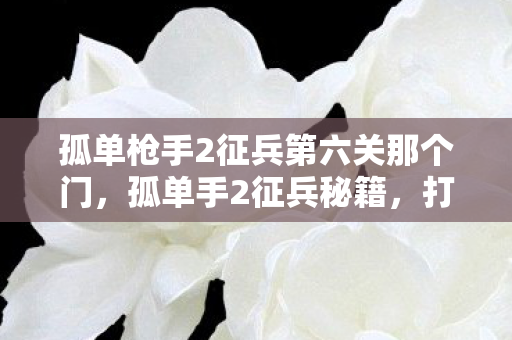 孤单枪手2征兵第六关那个门,孤单手2征兵秘籍,打造无敌军队,征服战场! 孤单枪手2征兵第六关那个门,孤单手2征兵秘籍,打造无敌军队,征服战场!