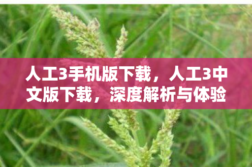 人工3手机版下载,人工3中文版下载,深度解析与体验分享 人工3手机版下载,人工3中文版下载,深度解析与体验分享