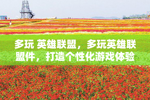 多玩 英雄联盟，多玩英雄联盟件，打造个性化游戏体验的利器
