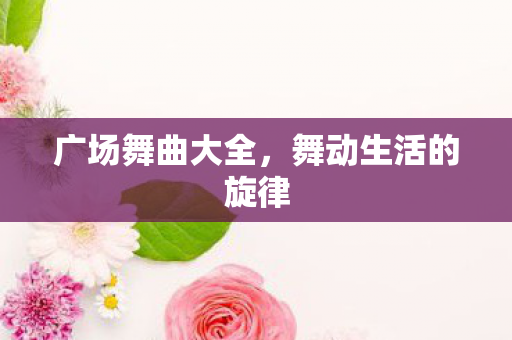 广场舞曲大全,舞动生活的旋律 广场舞曲大全,舞动生活的旋律