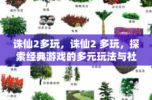 诛仙2多玩，诛仙2 多玩，探索经典游戏的多元玩法与社区互动