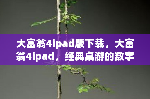大富翁4ipad版下载，大富翁4ipad，经典桌游的数字重生