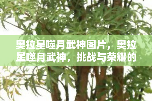 奥拉星噬月武神图片,奥拉星噬月武神,挑战与荣耀的传奇之旅 奥拉星噬月武神图片,奥拉星噬月武神,挑战与荣耀的传奇之旅